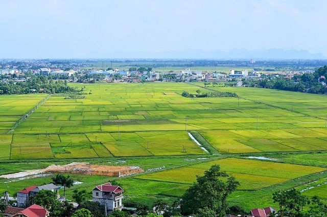 Bất cập trong quy định giao đất, cho thuê đất đối với dự án đầu tư