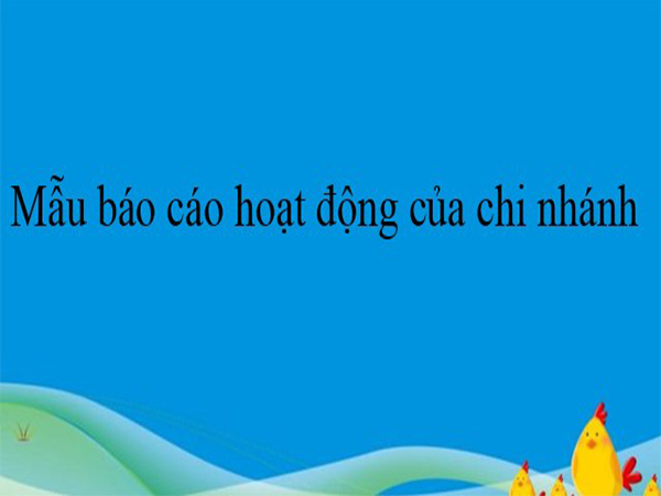 Báo cáo hoạt động của chi nhánh