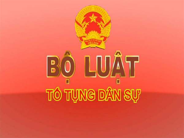 Tố tụng dân sự